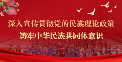 铸牢中华民族共同体意识学习