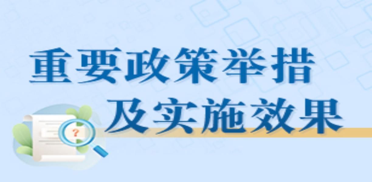 重大政策举措及实施效果