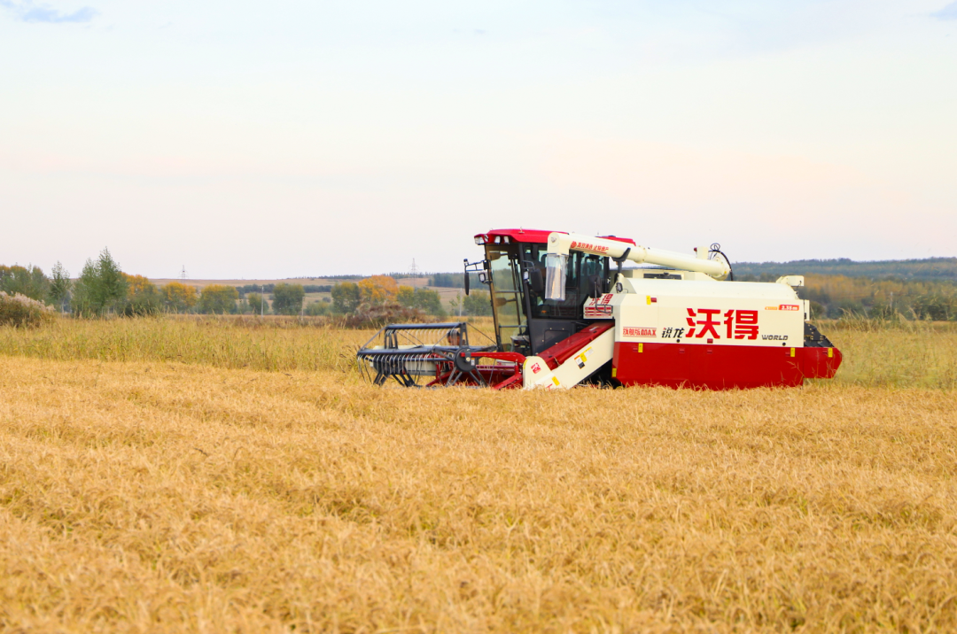 兴安盟水稻测产结果出炉！亩产达863.1公斤，较去年提高77.2公斤