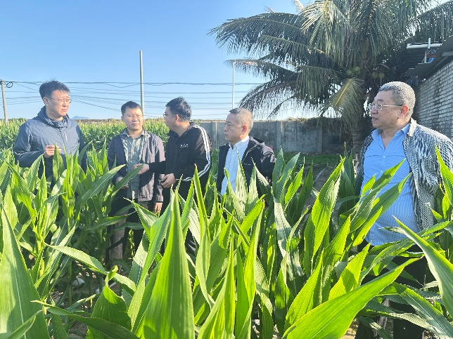 兴安盟2026年南繁科研基地检测工作顺利完成